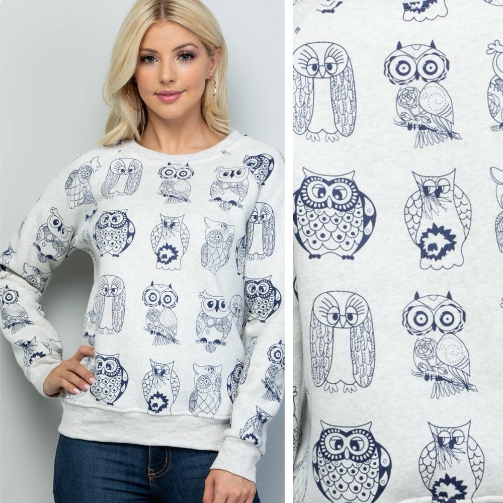 🦉 Owl Pullover Long Sleeve Sweater Sweatshirt